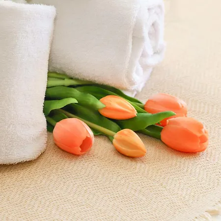 Pre 3 By Interhome * וורבייה