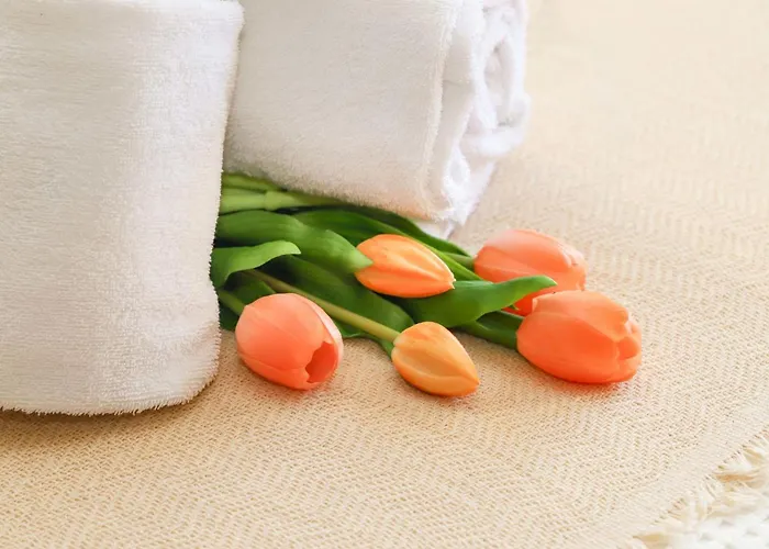 Pre 3 By Interhome * Verbier